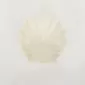 Seashell Bowl-white