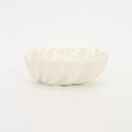 Seashell Bowl-white