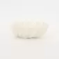 Seashell Bowl-white