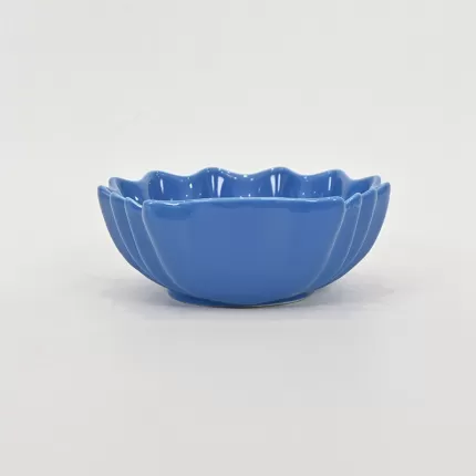 Seashell Bowl-blue