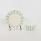 Striped Floral Plate–mint green