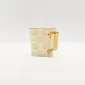 Shining Moment •Golden Fan Mug