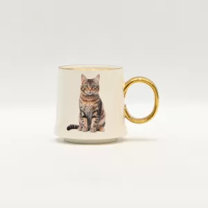 B2800-2813X Cat Family • Civet Cat Mug