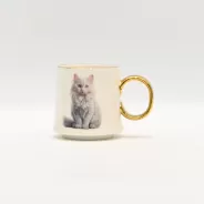 B2800-2813X Persian Cat Mug