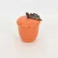 Hazelnut Jar
