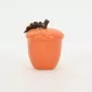 Hazelnut Jar