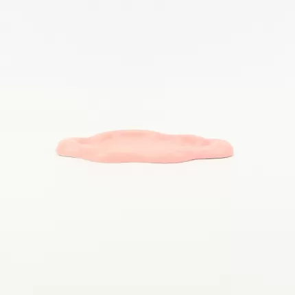 Cloud Plate-leather pink