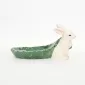 Vegetable Bunny Plate