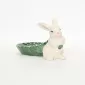 Vegetable Bunny Plate