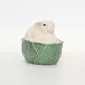 Vegetable Bunny Jar