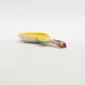 Lemon Spoon Rest