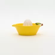 Lemon Juicer