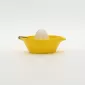 Lemon Juicer