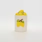 Lemon Jar