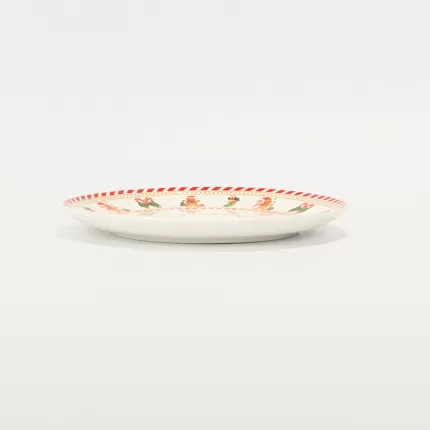 Christmas Party Plate