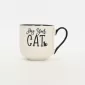 Love’s Letter to Cat Mug-2