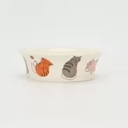 Hello Cat Bowl-1