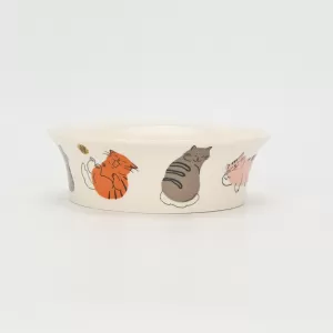 Hello Cat Bowl-1