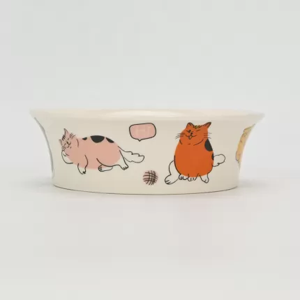 Hello Cat Bowl-1