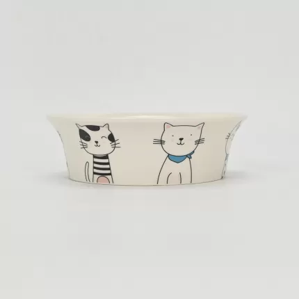 Hello Cat Bowl-2