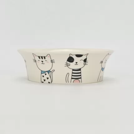 Hello Cat Bowl-2