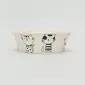 Hello Cat Bowl-2