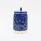 In the Lake · Embossed Jar-blue&white