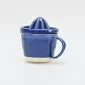 In the Lake · Embossed Juicer Cup-blue&white