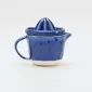 In the Lake · Embossed Juicer Cup-blue&white