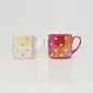 Heart Rainbow Cup–pearl red