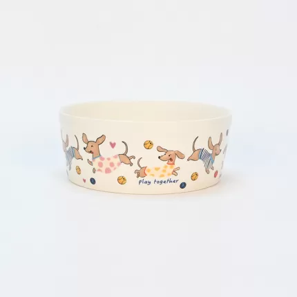 Hello Doggie Bowl-2