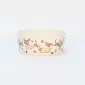 Hello Doggie Bowl-2