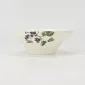 Fruiting Wilds Bowl-2