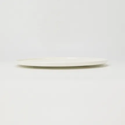 Fruiting Wilds Plate–viburnum