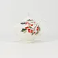 Fruiting Wilds Jug
