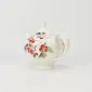 Fruiting Wilds Jug