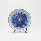 Silent Universe Plate-1