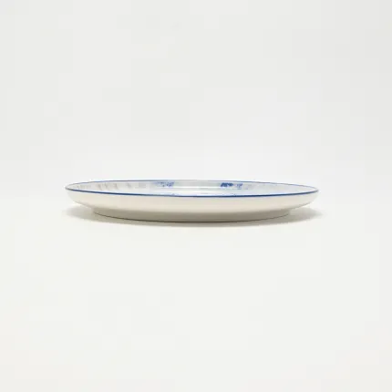 Silent Universe Plate-1