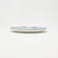 Silent Universe Plate-1