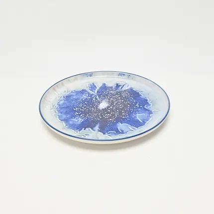 Silent Universe Plate-1