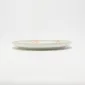Decorative Pattern Plate-starlight-1