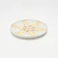 Decorative Pattern Plate-starlight-1