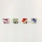 Fleeting Flora Mug-4