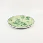 Botanical Dyed Green Plate