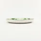 Botanical Dyed Green Plate