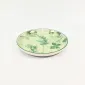 Botanical Dyed Green Plate