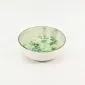 Botanical Dyed Green Bowl