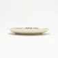 Tropical Palm Plate-1