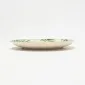 Tropical Palm Plate-2