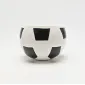 Football Bowl-2